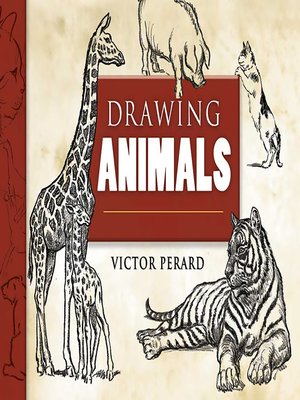 Drawing Animals - ebook